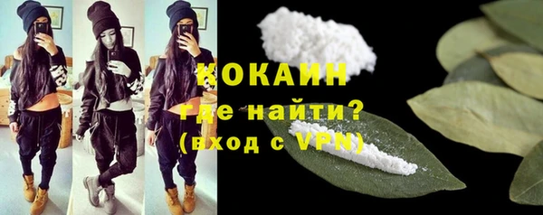 винт Богданович
