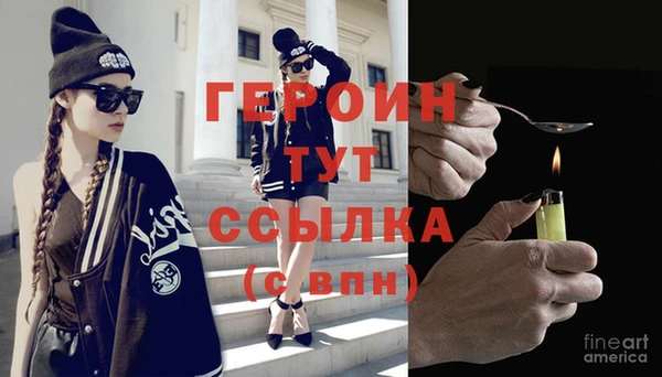 сатива Беломорск