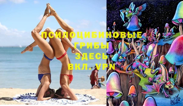 PSILOCYBIN Богородицк