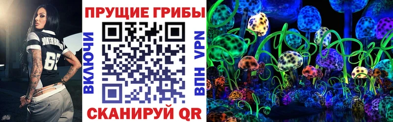Галлюциногенные грибы Cubensis  Великие Луки 